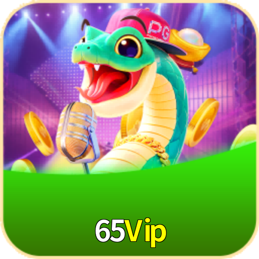65Vip.Com